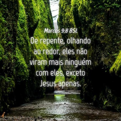 Picture 04 - Marcos 9:8 BSL - De repente, olhando ao redor, eles não viram - Bible Verse Picture
