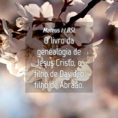 Picture 04 - Mateus 1:1 BSL - O livro da genealogia de Jesus Cristo, o filho de - Bible Verse Picture