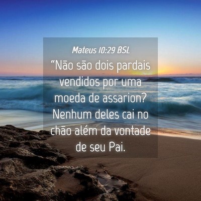 Picture 04 - Mateus 10:29 BSL - “Não são dois pardais vendidos por uma moeda - Bible Verse Picture