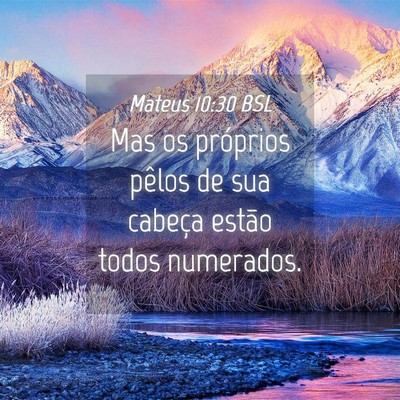 Picture 04 - Mateus 10:30 BSL - Mas os próprios pêlos de sua cabeça estão - Bible Verse Picture
