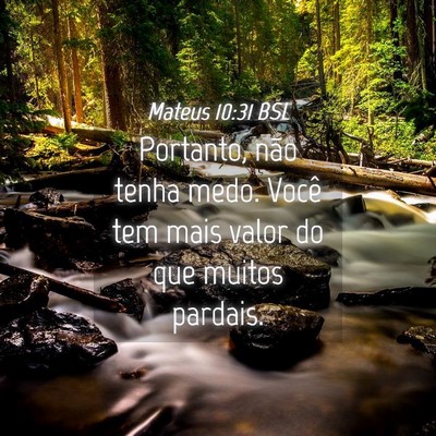 Picture 04 - Mateus 10:31 BSL - Portanto, não tenha medo. Você tem mais valor - Bible Verse Picture