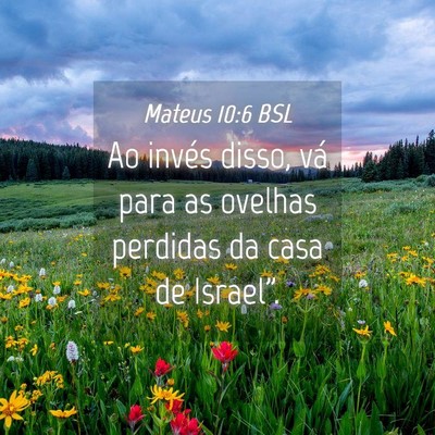 Picture 04 - Mateus 10:6 BSL - Ao invés disso, vá para as ovelhas perdidas da - Bible Verse Picture