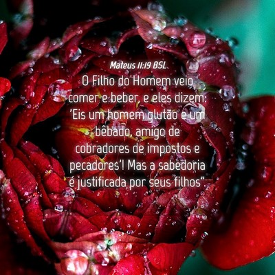 Picture 04 - Mateus 11:19 BSL - O Filho do Homem veio comer e beber, e eles - Bible Verse Picture