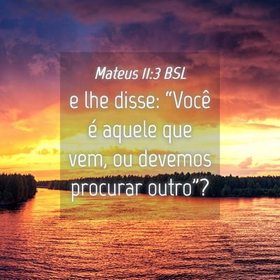 Picture 04 - Mateus 11:3 BSL - e lhe disse: “Você é aquele que vem, ou - Bible Verse Picture