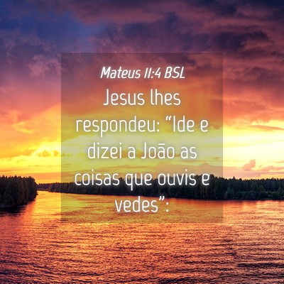 Picture 04 - Mateus 11:4 BSL - Jesus lhes respondeu: “Ide e dizei a João as - Bible Verse Picture