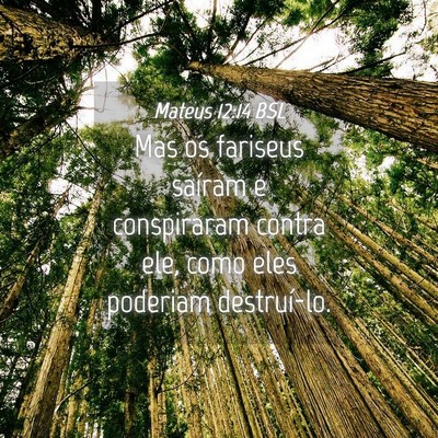Picture 04 - Mateus 12:14 BSL - Mas os fariseus saíram e conspiraram contra ele, - Bible Verse Picture