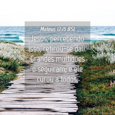 Picture 04 - Mateus 12:15 BSL - Jesus, percebendo isso, retirou-se dali. Grandes - Bible Verse Picture
