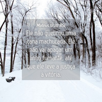 Picture 04 - Mateus 12:20 BSL - Ele não quebrou uma cana machucada. Ele não vai - Bible Verse Picture
