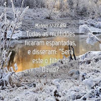 Picture 04 - Mateus 12:23 BSL - Todas as multidões ficaram espantadas, e - Bible Verse Picture