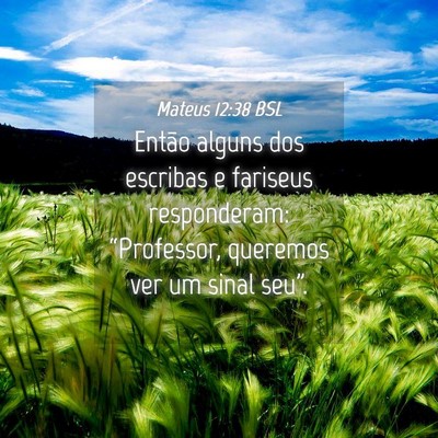 Picture 04 - Mateus 12:38 BSL - Então alguns dos escribas e fariseus - Bible Verse Picture