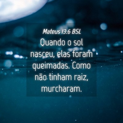 Picture 04 - Mateus 13:6 BSL - Quando o sol nasceu, elas foram queimadas. Como - Bible Verse Picture