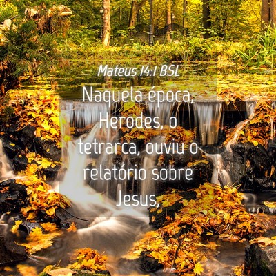 Picture 04 - Mateus 14:1 BSL - Naquela época, Herodes, o tetrarca, ouviu o - Bible Verse Picture