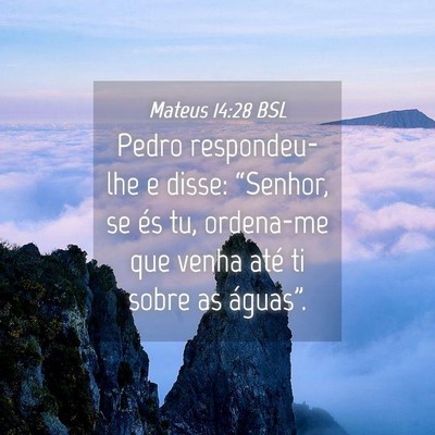 Picture 04 - Mateus 14:28 BSL - Pedro respondeu-lhe e disse: “Senhor, se és - Bible Verse Picture