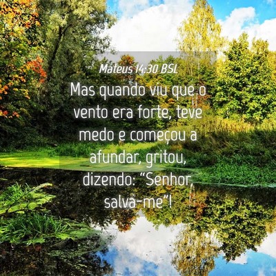 Picture 04 - Mateus 14:30 BSL - Mas quando viu que o vento era forte, teve medo e - Bible Verse Picture