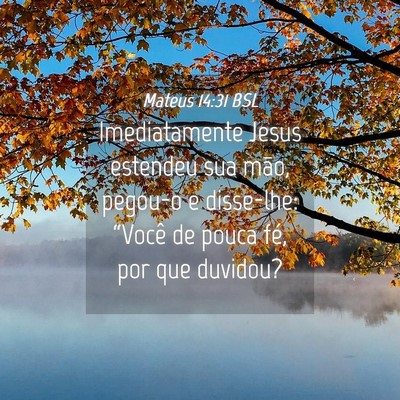 Picture 04 - Mateus 14:31 BSL - Imediatamente Jesus estendeu sua mão, pegou-o e - Bible Verse Picture