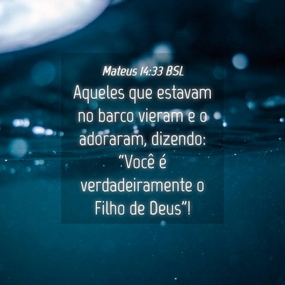 Picture 04 - Mateus 14:33 BSL - Aqueles que estavam no barco vieram e o adoraram, - Bible Verse Picture
