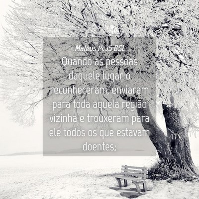 Picture 04 - Mateus 14:35 BSL - Quando as pessoas daquele lugar o reconheceram, - Bible Verse Picture
