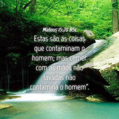 Picture 04 - Mateus 15:20 BSL - Estas são as coisas que contaminam o homem; mas - Bible Verse Picture