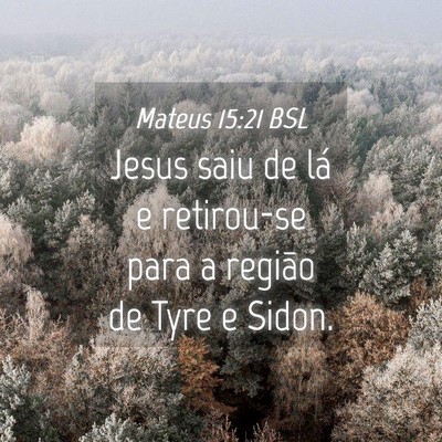 Picture 04 - Mateus 15:21 BSL - Jesus saiu de lá e retirou-se para a região de - Bible Verse Picture