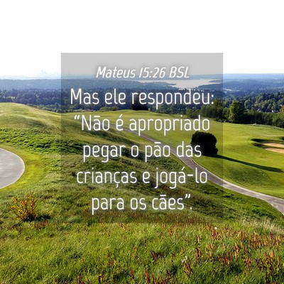 Picture 04 - Mateus 15:26 BSL - Mas ele respondeu: “Não é apropriado pegar o - Bible Verse Picture