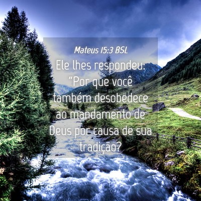Picture 04 - Mateus 15:3 BSL - Ele lhes respondeu: “Por que você também - Bible Verse Picture