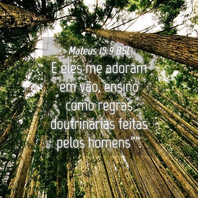 Picture 04 - Mateus 15:9 BSL - E eles me adoram em vão, ensino como regras - Bible Verse Picture