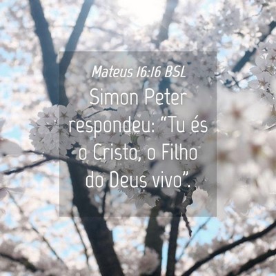 Picture 04 - Mateus 16:16 BSL - Simon Peter respondeu: “Tu és o Cristo, o - Bible Verse Picture