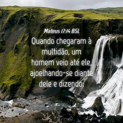 Picture 04 - Mateus 17:14 BSL - Quando chegaram à multidão, um homem veio até - Bible Verse Picture