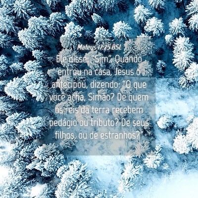 Picture 04 - Mateus 17:25 BSL - Ele disse: “Sim”. Quando entrou na casa, - Bible Verse Picture