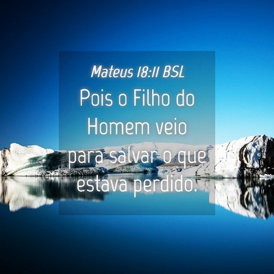 Picture 04 - Mateus 18:11 BSL - Pois o Filho do Homem veio para salvar o que - Bible Verse Picture