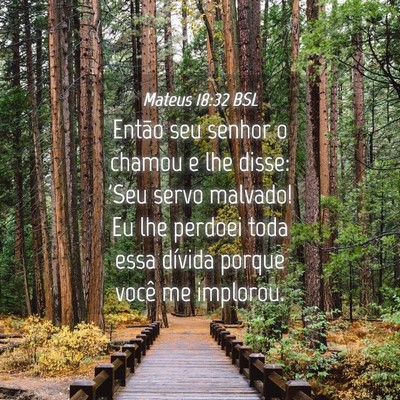 Picture 04 - Mateus 18:32 BSL - Então seu senhor o chamou e lhe disse: 'Seu - Bible Verse Picture