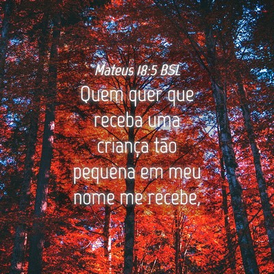 Picture 04 - Mateus 18:5 BSL - Quem quer que receba uma criança tão pequena em - Bible Verse Picture
