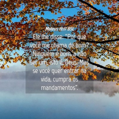 Picture 04 - Mateus 19:17 BSL - Ele lhe disse: “Por que você me chama de bom? - Bible Verse Picture