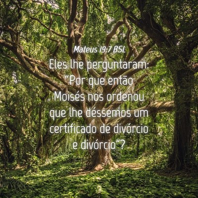 Picture 04 - Mateus 19:7 BSL - Eles lhe perguntaram: “Por que então Moisés - Bible Verse Picture