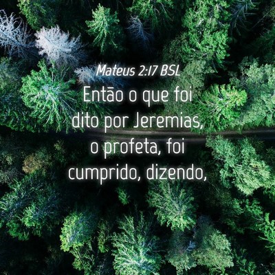 Picture 04 - Mateus 2:17 BSL - Então o que foi dito por Jeremias, o profeta, - Bible Verse Picture
