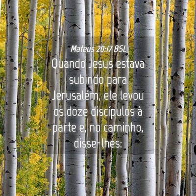Picture 04 - Mateus 20:17 BSL - Quando Jesus estava subindo para Jerusalém, ele - Bible Verse Picture