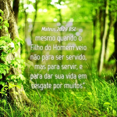 Picture 04 - Mateus 20:28 BSL - mesmo quando o Filho do Homem veio não para ser - Bible Verse Picture