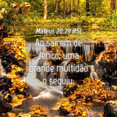 Picture 04 - Mateus 20:29 BSL - Ao saírem de Jericó, uma grande multidão o - Bible Verse Picture