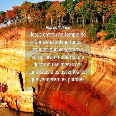 Picture 04 - Mateus 21:12 BSL - Jesus entrou no templo de Deus e expulsou todos - Bible Verse Picture