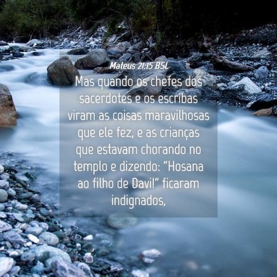 Picture 04 - Mateus 21:15 BSL - Mas quando os chefes dos sacerdotes e os escribas - Bible Verse Picture
