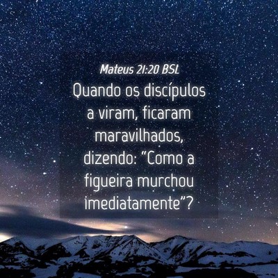 Picture 04 - Mateus 21:20 BSL - Quando os discípulos a viram, ficaram - Bible Verse Picture