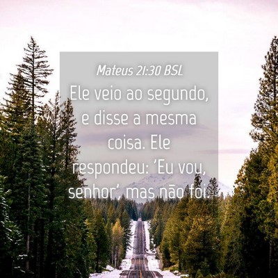 Picture 04 - Mateus 21:30 BSL - Ele veio ao segundo, e disse a mesma coisa. Ele - Bible Verse Picture
