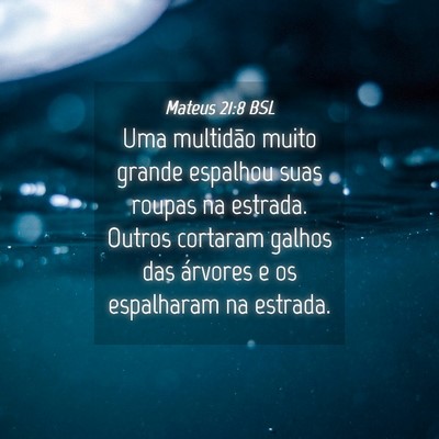 Picture 04 - Mateus 21:8 BSL - Uma multidão muito grande espalhou suas roupas - Bible Verse Picture