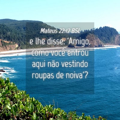 Picture 04 - Mateus 22:12 BSL - e lhe disse: 'Amigo, como você entrou aqui não - Bible Verse Picture