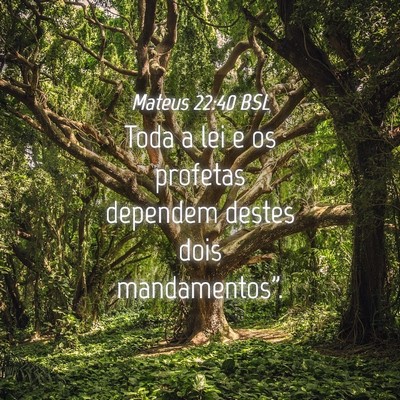 Picture 04 - Mateus 22:40 BSL - Toda a lei e os profetas dependem destes dois - Bible Verse Picture