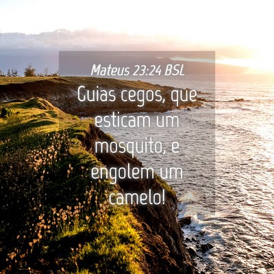 Picture 04 - Mateus 23:24 BSL - Guias cegos, que esticam um mosquito, e engolem - Bible Verse Picture