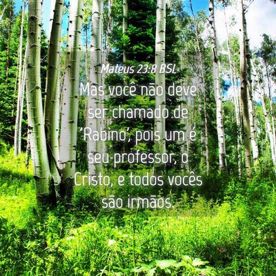 Picture 04 - Mateus 23:8 BSL - Mas você não deve ser chamado de 'Rabino', pois - Bible Verse Picture
