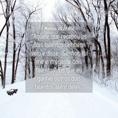 Picture 04 - Mateus 25:22 BSL - “Aquele que recebeu os dois talentos também - Bible Verse Picture