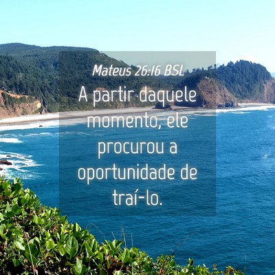 Picture 04 - Mateus 26:16 BSL - A partir daquele momento, ele procurou a - Bible Verse Picture