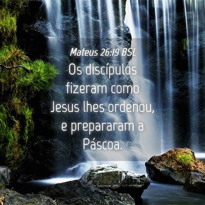 Picture 04 - Mateus 26:19 BSL - Os discípulos fizeram como Jesus lhes ordenou, e - Bible Verse Picture